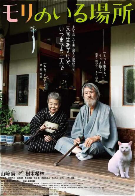 光闪闪的录像