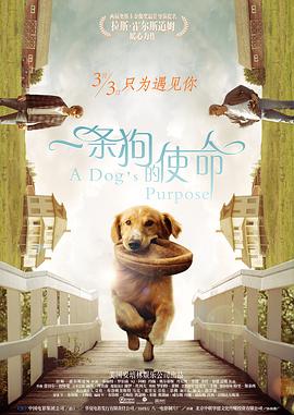 亚洲一级一级97网