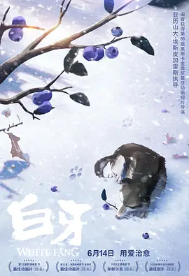 99视频福利