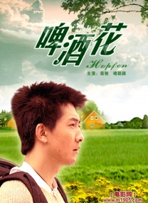 tplink后台