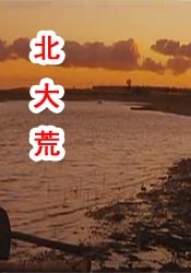 伊人网在线播放
