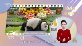 毛片库